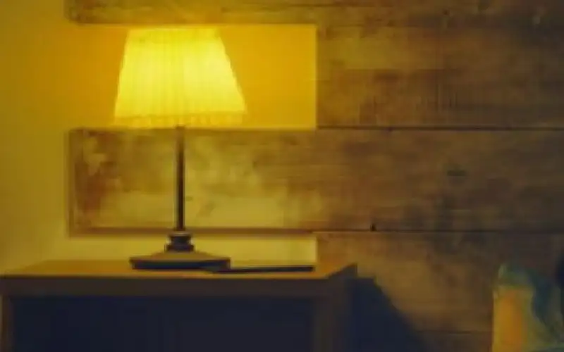 دراسة: تجنب الضوء الساطع ليلا يقلل