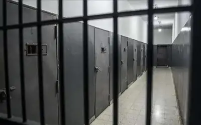 انتقاد أممي لاستخدام إسرائيل الكلاب ضد