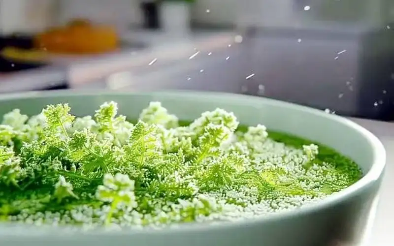 على ذمة الذكاء الاصطناعي.. الحشرات طعام