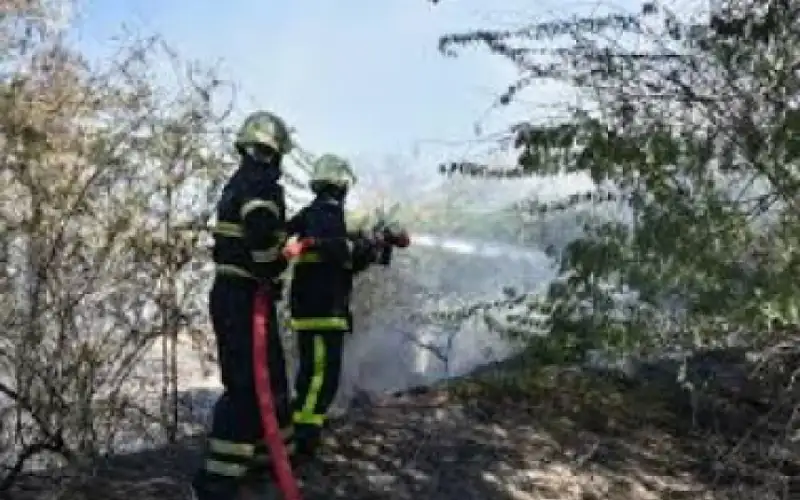 الدفاع المدني للمتنزهين: أطفئوا النار بعد