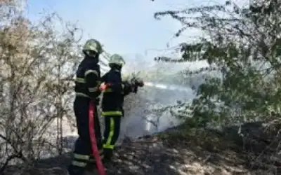 الدفاع المدني للمتنزهين: أطفئوا النار بعد