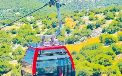 مطالب بزيادة عدد العربات في تلفريك