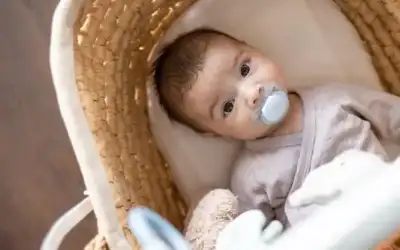 حقائق عن اللهايات للأطفال الرضع ..