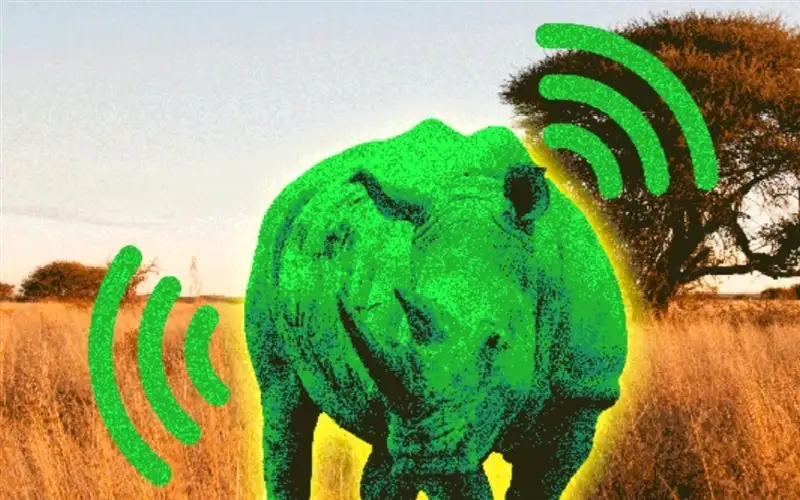 علماء يحولون وحيد القرن إلى كائن