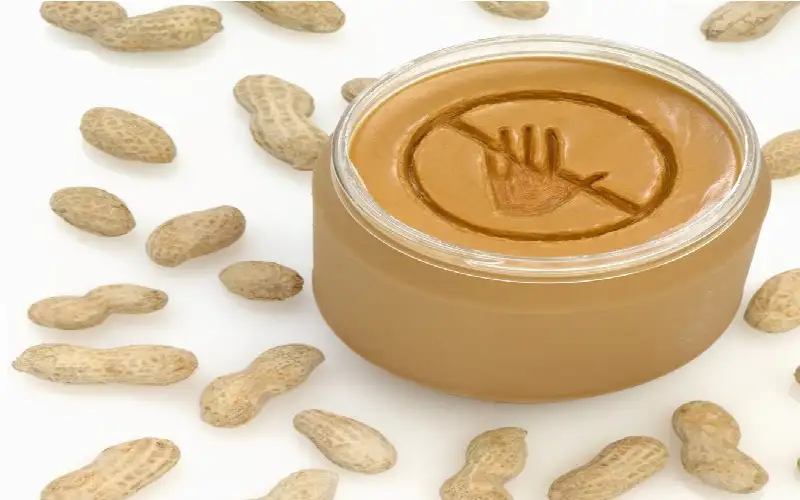 إطعام الطفل أغذية تحتوي على الفول