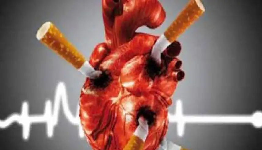 الدول الأكثر تدخينا للسجائر في العالم..