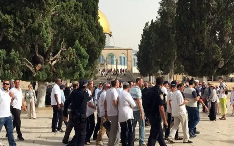 مستوطنون متطرفون يقتحمون باحات الأقصى