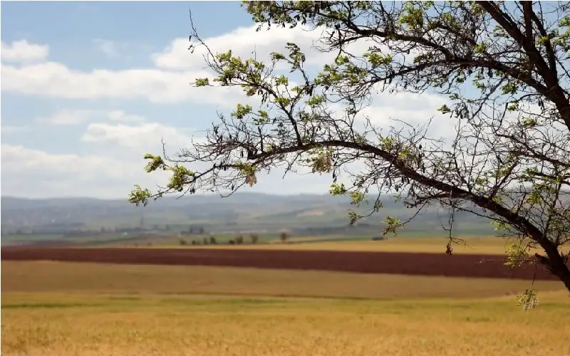الارصاد: حزيران 2024 يسجل أعلى معدل