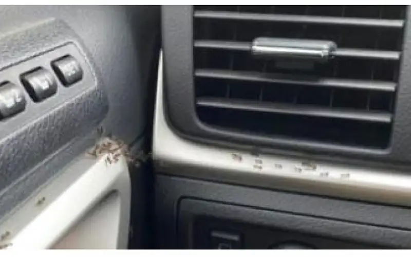 هرب من الحر فمات خنقا بمكيف