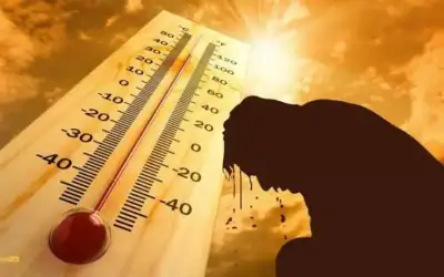 كتلة هوائية حارة تؤثر على الأردن
