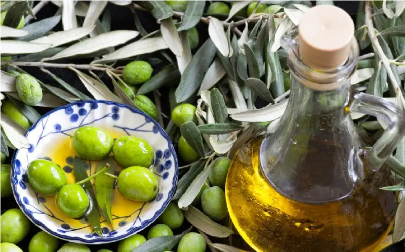 مادة في الزيتون تعالج السكري وتكافح