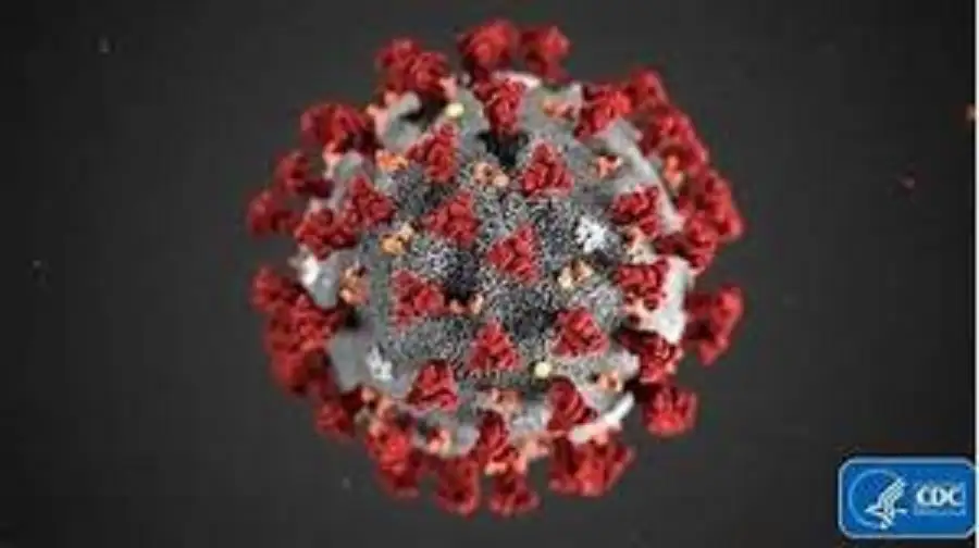 تبعات لقاحات كورونا.. أسئلة كثيرة ما