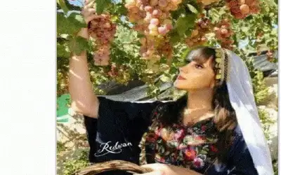 العنب في أغاني فيروز والأغنية العربية