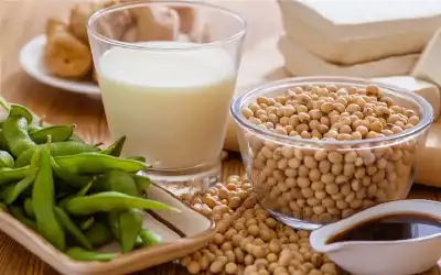 فول الصويا يحسن انتباه الطفل