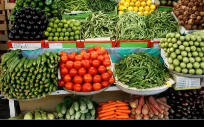 2365 طن خضار وفواكه وورقيات ترد