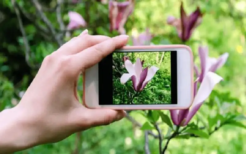 نصائح للتصوير الفوتوغرافي بالهاتف المحمول.. اتبعها