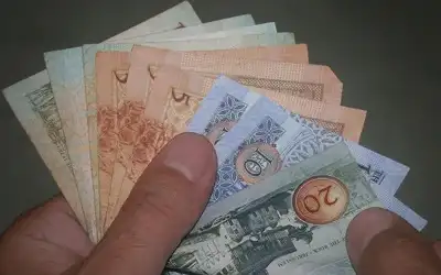 2.041 مليار دينار حجم الإيرادات المحلية