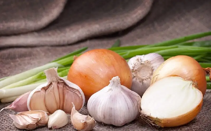 لمنع التهابات فروة الرأس وتأخير ظهور