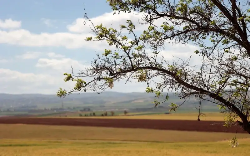 درجات الحرارة إلى الانخفاض