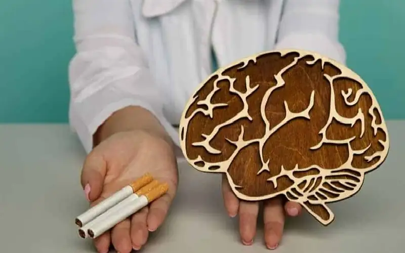 التراجع عن التدخين والتعليم وراء تراجع
