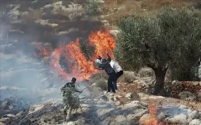 مستوطنون يضرمون النار بأراض فلسطينية وسط