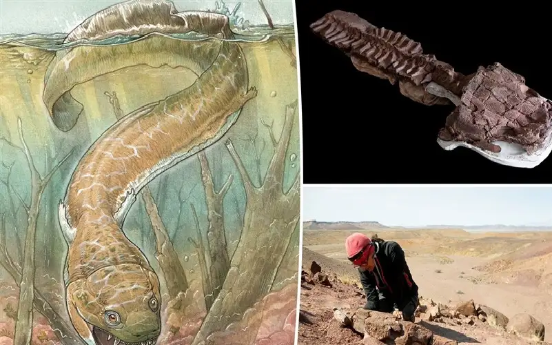 اكتشاف هيكل عظمي لحيوان منقرض بحجم