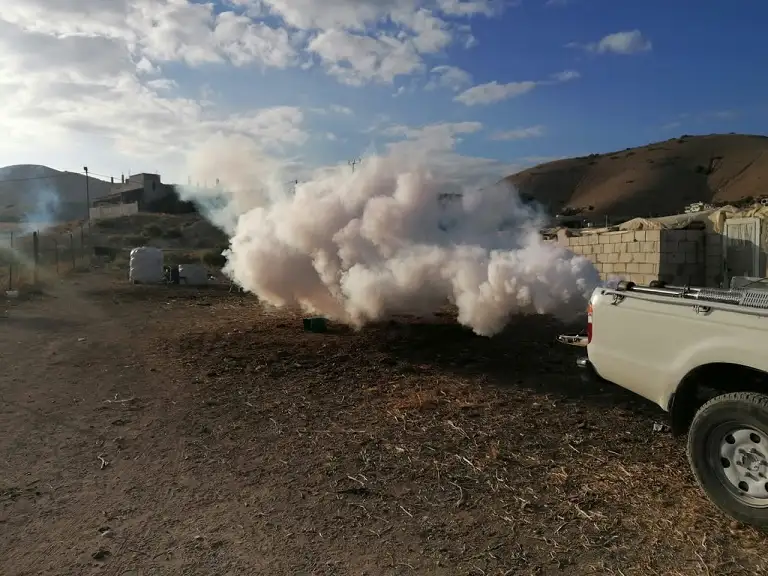 حملتان لمكافحة البعوض والذباب في الأغوار