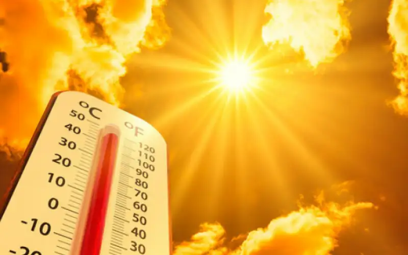 كيف تحمي نفسك من أضرار موجات