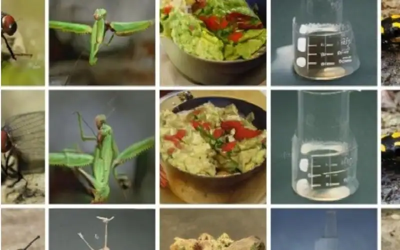 ذكاء اصطناعي يقرأ الأفكار ويحولها إلى