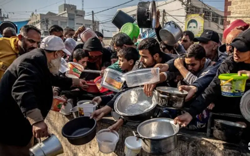 نصف مليون غزي يعشيون مستويات جوع