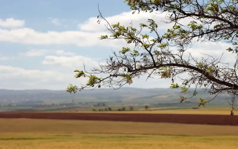 أجواء حارة نسبيا الى حارة في