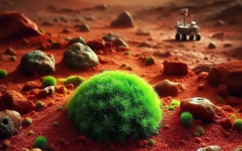 طحالب خارقة قادرة على النجاة في