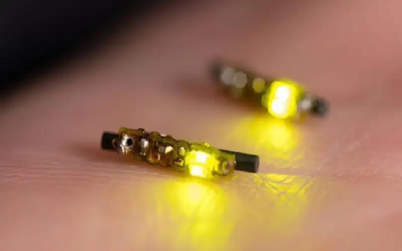 بحجم حبة الأرز.. جهاز ليد لقتل