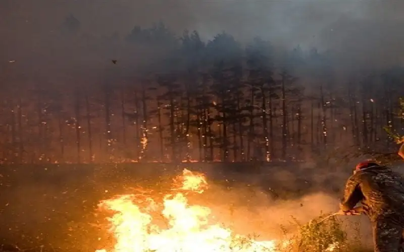 1 مليون هكتار.. حرائق هائلة تلتهم