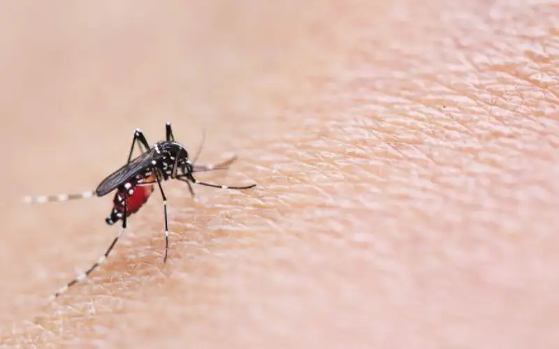 الصحة: مرض حمى النيل الغربي غير