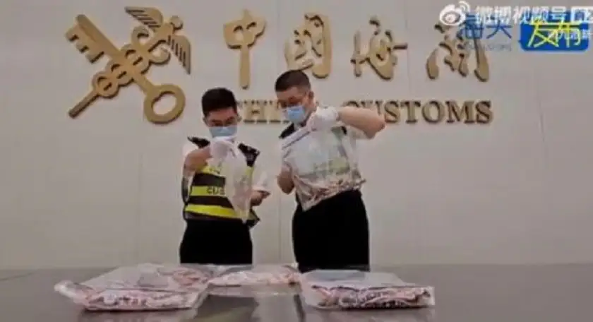 ايقاف صيني يخبئ 100 ثعبان في