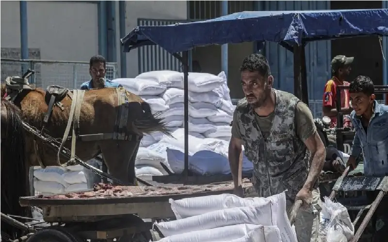 الأمم المتحدة تصدر بيانا بشأن دعم