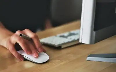 الحكومة: نتائج الدراسة حول عمل الموظف