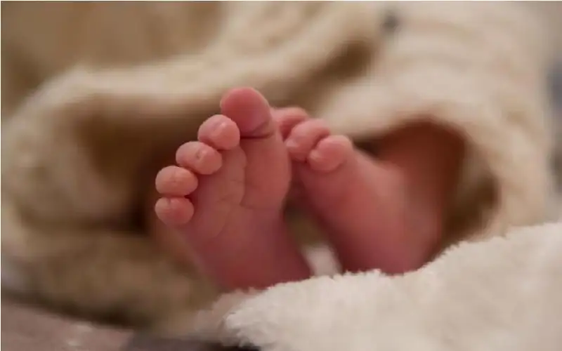 اختبار يكشف عدوى شاغاس