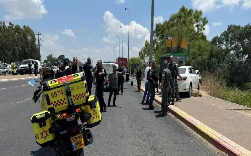 فيديو .. 3 مصابين حالة اثنين