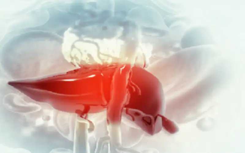 أفضل المنتجات لاستعادة صحة الكبد