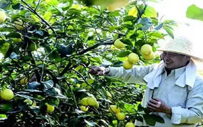 الصين تسيطر على جزء كبير من