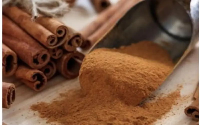 علماء روس يحولون مادة في القرفة