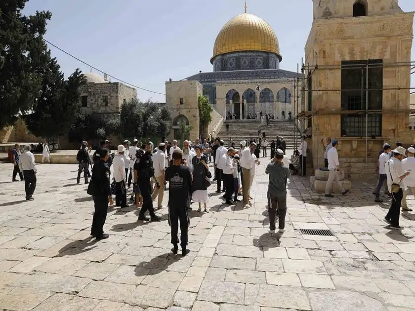 الاحتلال يعتقل 20 فلسطينيا من الضفة