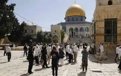 الاحتلال يعتقل 20 فلسطينيا من الضفة