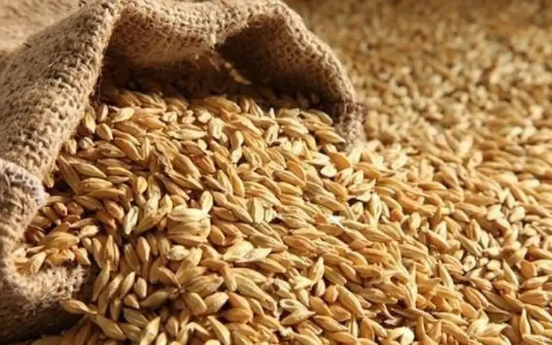 الأردن يشتري نحو 60 ألف طن