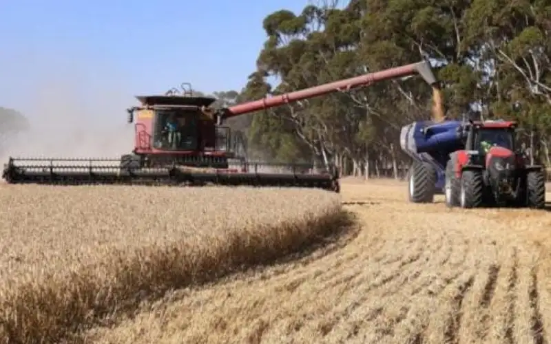 متعاملون: الأردن يشتري نحو 60 ألف