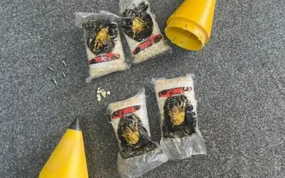 المنطقة العسكرية الشمالية تحبط محاولة تهريب