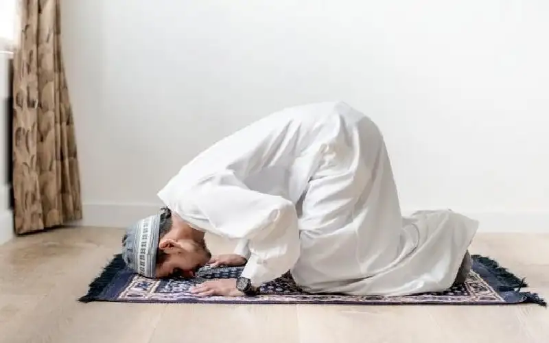 يمشون على الأرض هونا.. ما هي