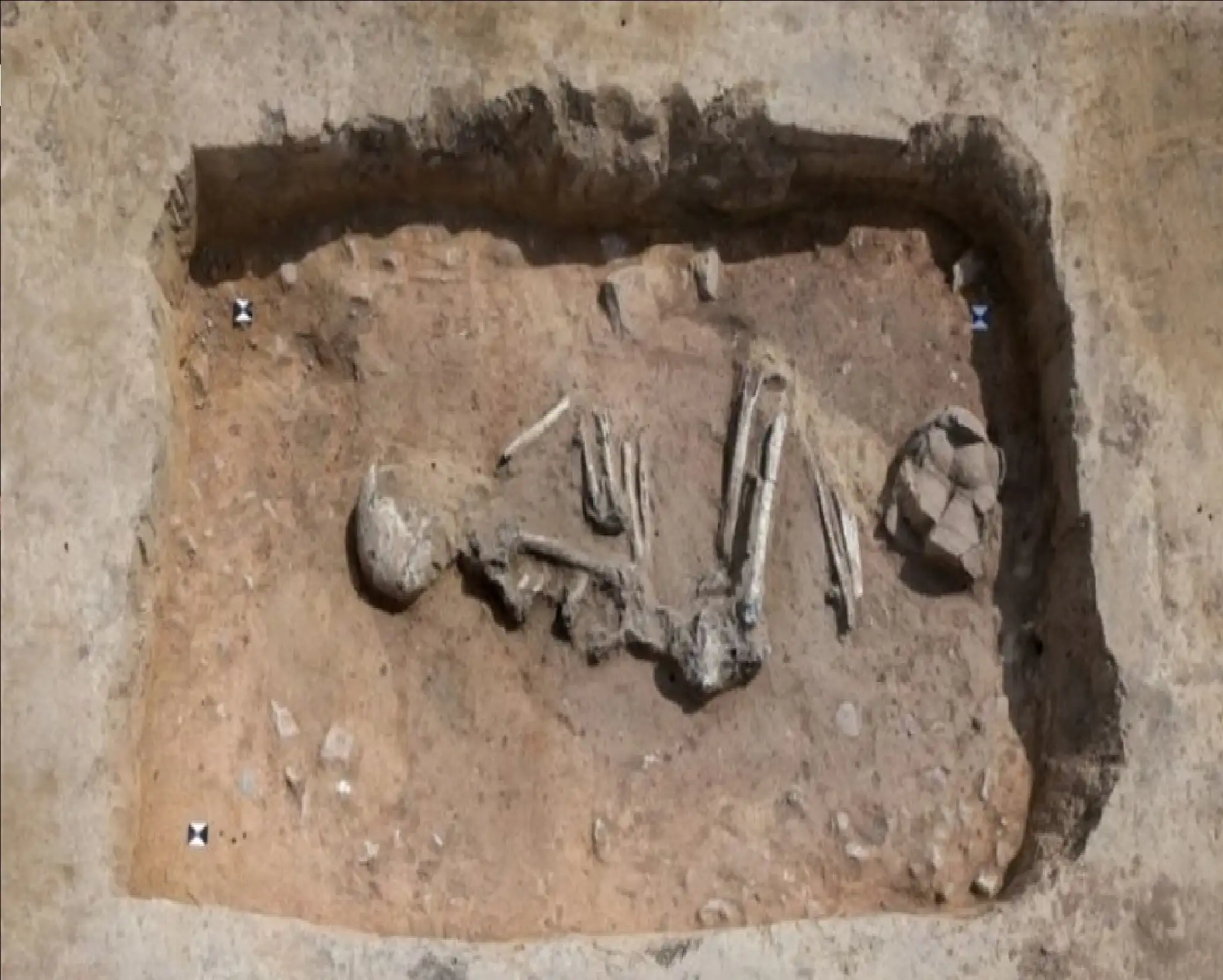 ألمانيا.. اكتشاف جبانة أثرية تعود إلى